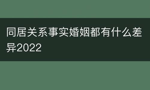 同居关系事实婚姻都有什么差异2022