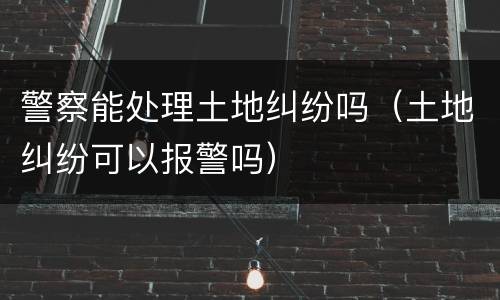 警察能处理土地纠纷吗（土地纠纷可以报警吗）