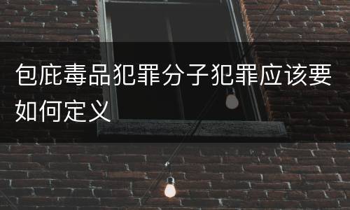 包庇毒品犯罪分子犯罪应该要如何定义