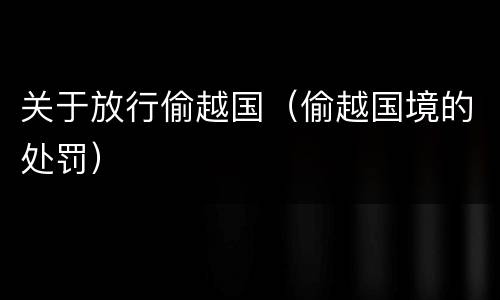 关于放行偷越国（偷越国境的处罚）