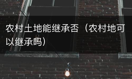 农村土地能继承否（农村地可以继承吗）