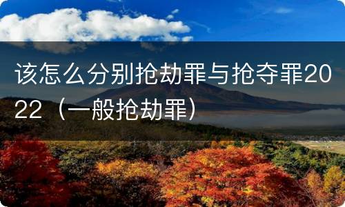 该怎么分别抢劫罪与抢夺罪2022（一般抢劫罪）