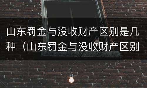 山东罚金与没收财产区别是几种（山东罚金与没收财产区别是几种类型）