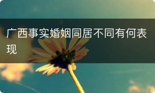 广西事实婚姻同居不同有何表现