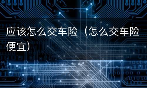 应该怎么交车险（怎么交车险便宜）
