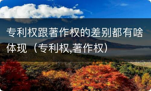 专利权跟著作权的差别都有啥体现（专利权,著作权）