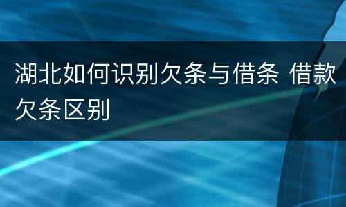 湖北如何识别欠条与借条 借款欠条区别
