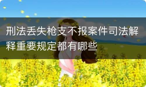 刑法丢失枪支不报案件司法解释重要规定都有哪些
