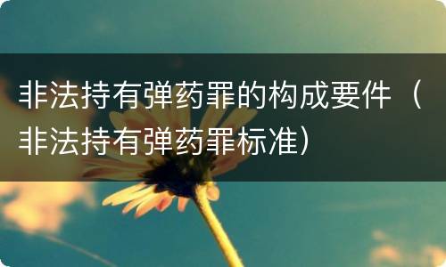 非法持有弹药罪的构成要件（非法持有弹药罪标准）