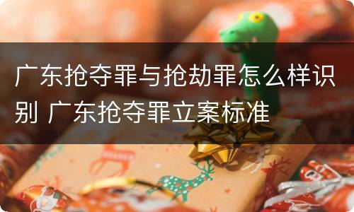 广东抢夺罪与抢劫罪怎么样识别 广东抢夺罪立案标准