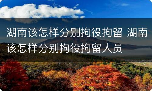湖南该怎样分别拘役拘留 湖南该怎样分别拘役拘留人员