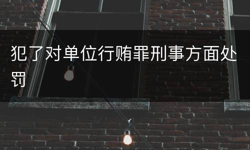 犯了对单位行贿罪刑事方面处罚
