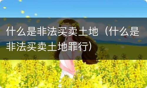 什么是非法买卖土地（什么是非法买卖土地罪行）