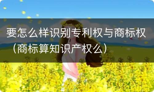 要怎么样识别专利权与商标权（商标算知识产权么）