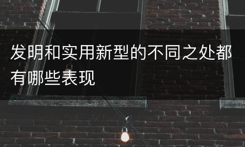 发明和实用新型的不同之处都有哪些表现