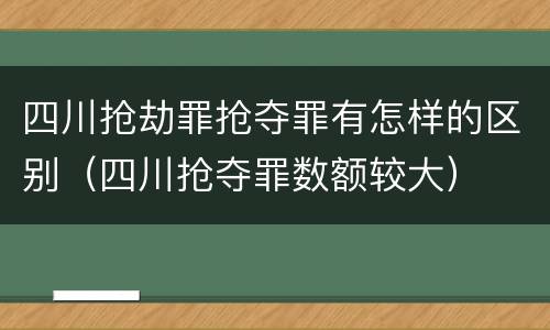 四川抢劫罪抢夺罪有怎样的区别（四川抢夺罪数额较大）
