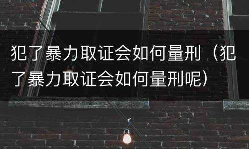 犯了暴力取证会如何量刑（犯了暴力取证会如何量刑呢）