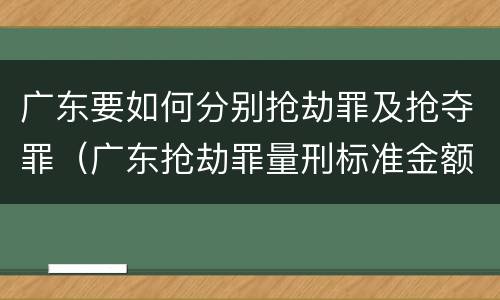 广东要如何分别抢劫罪及抢夺罪（广东抢劫罪量刑标准金额）