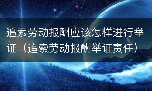追索劳动报酬应该怎样进行举证（追索劳动报酬举证责任）