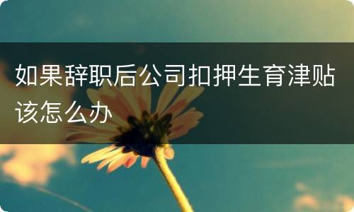 如果辞职后公司扣押生育津贴该怎么办