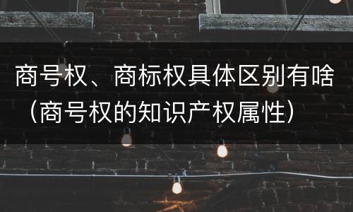 商号权、商标权具体区别有啥（商号权的知识产权属性）