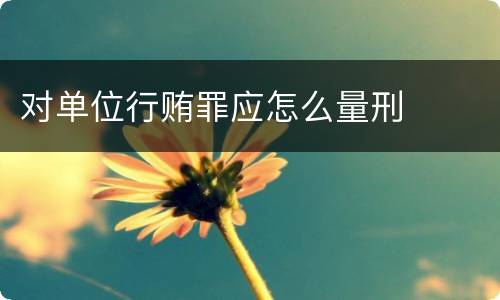 对单位行贿罪应怎么量刑