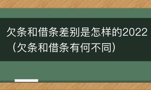 欠条和借条差别是怎样的2022（欠条和借条有何不同）