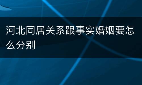 河北同居关系跟事实婚姻要怎么分别