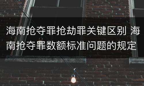 海南抢夺罪抢劫罪关键区别 海南抢夺罪数额标准问题的规定