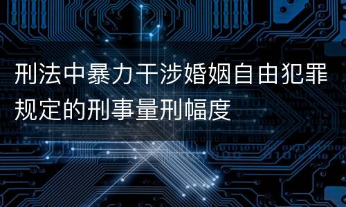 刑法中暴力干涉婚姻自由犯罪规定的刑事量刑幅度