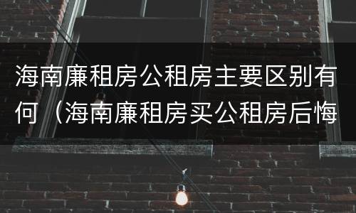 海南廉租房公租房主要区别有何（海南廉租房买公租房后悔了）