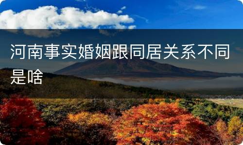 河南事实婚姻跟同居关系不同是啥