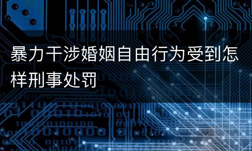暴力干涉婚姻自由行为受到怎样刑事处罚