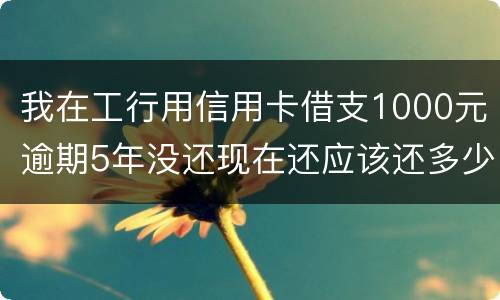 我在工行用信用卡借支1000元逾期5年没还现在还应该还多少