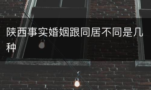 陕西事实婚姻跟同居不同是几种