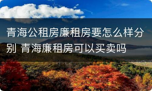 青海公租房廉租房要怎么样分别 青海廉租房可以买卖吗