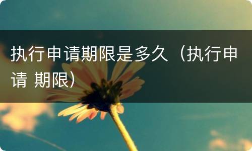 执行申请期限是多久（执行申请 期限）