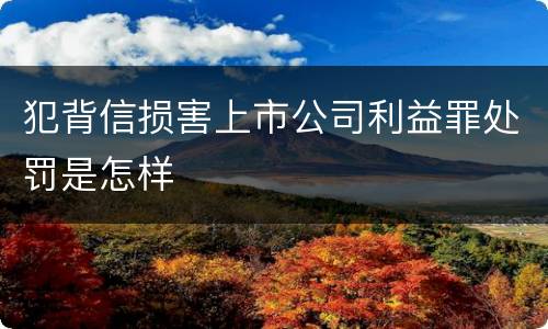 犯背信损害上市公司利益罪处罚是怎样