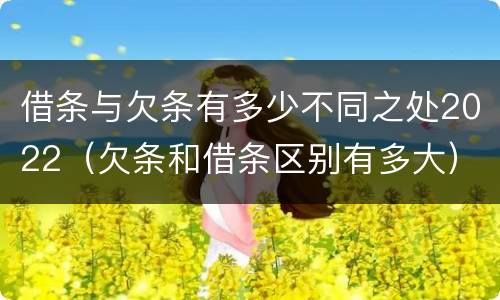借条与欠条有多少不同之处2022（欠条和借条区别有多大）
