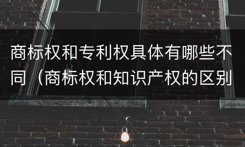 商标权和专利权具体有哪些不同（商标权和知识产权的区别）