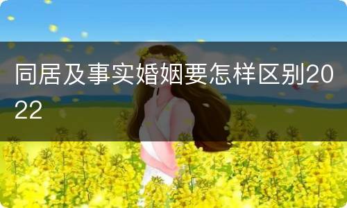 同居及事实婚姻要怎样区别2022