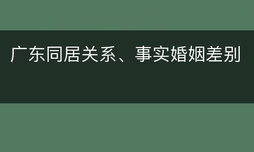 广东同居关系、事实婚姻差别