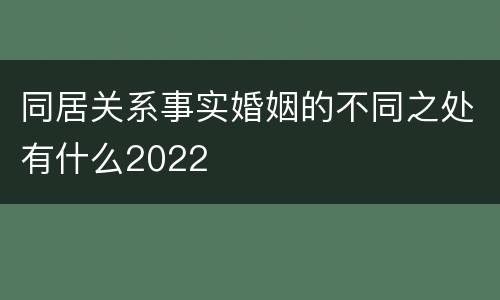 同居关系事实婚姻的不同之处有什么2022