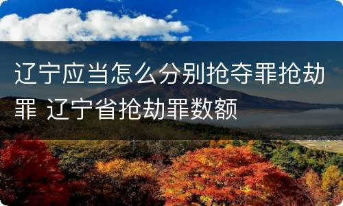 辽宁应当怎么分别抢夺罪抢劫罪 辽宁省抢劫罪数额