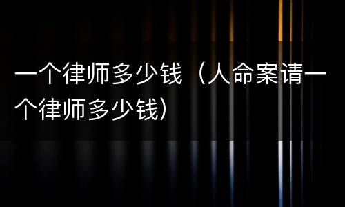 一个律师多少钱（人命案请一个律师多少钱）