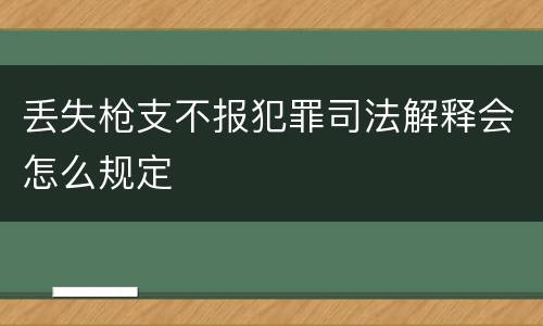丢失枪支不报犯罪司法解释会怎么规定