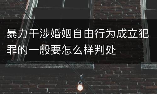 暴力干涉婚姻自由行为成立犯罪的一般要怎么样判处