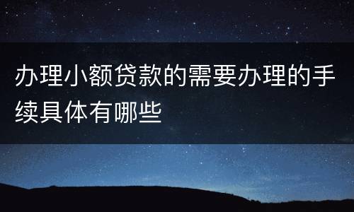 办理小额贷款的需要办理的手续具体有哪些