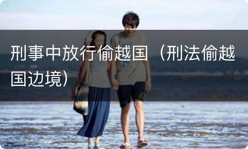 刑事中放行偷越国（刑法偷越国边境）