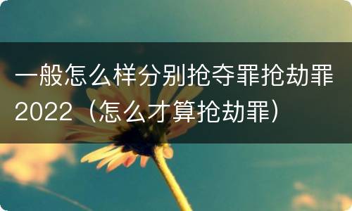 一般怎么样分别抢夺罪抢劫罪2022（怎么才算抢劫罪）